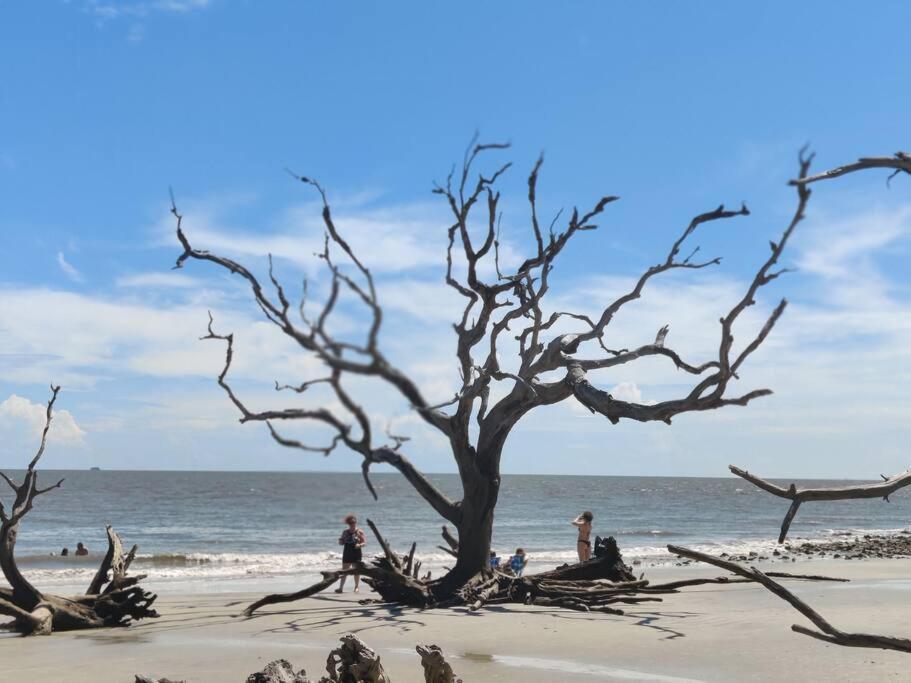 Willa Jekyll Island House/ Kellys On The Coast /King Bed Zewnętrze zdjęcie